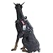 OneTigris Tactical Service Dog Vest – Water-resistant Comfortable Military Patrol K9 Dog Harness with Handle (Extra Large, Black)