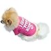 Binmer(TM)Fashion Pet Dog Clothes Cat Puppy Pet Puppy Spring Summer Shirt Small Pet Clothes Vest T Shirt (M)