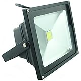 QUANS 30W Watt Cool White 12V 24V AC DC Ultra Bright LED Security Wash Flood Light Floodlight Lamp High Power Black Case Waterproof IP65 Work in The Rain Superbright 6000K, 12-24V Input Low Voltage