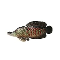 Collectible Wildlife Gifts Arapaima Fish 3 Inch ~ Plastic Replica ~ F02-B88