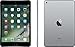 Apple iPad Mini 4 128GB W/Saiborie 49.99 Value Accessories, 7.9