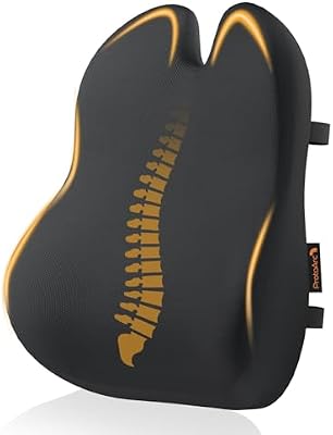 Coussin de Dossier Ergonomique en Mousse à mémoire de Forme, Coussin Lombaire pour Chaise de Bureau, siège Auto et Chaise de Bureau, Coussin Lombaire Respirant, Noir