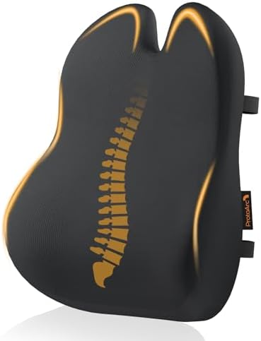 Coussin de Dossier Ergonomique en Mousse à mémoire de Forme, Coussin Lombaire pour Chaise de Bureau, siège Auto et Chaise de Bureau, Coussin Lombaire Respirant, Noir