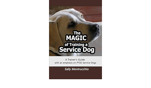 Service Dog Sally 2025