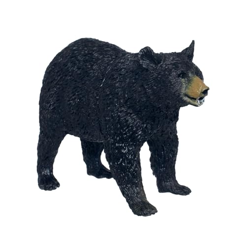 Black Bear