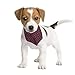 EXPEDER Dog Bandanas 5 Pack Plaid Triangle Scarfs Washable Triangle Bibs for Pets Dog and Cat