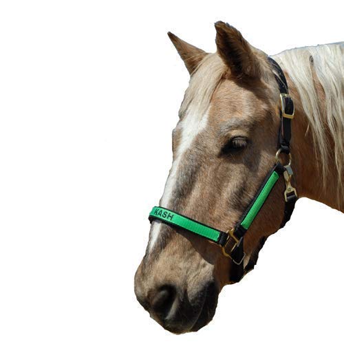 Nylon Horse Halters and Personalized Horse Halters Handmade