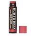Burt's Bees 100% Natural Tinted Lip Balm primary