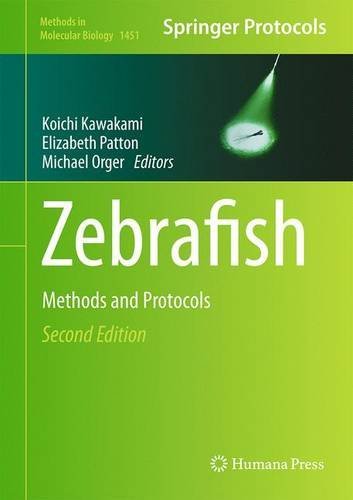 Zebrafish: Methods and Protocols (Methods in Molecular Biology)