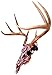 Skull Hanger, Firearms Style