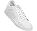 adidas Originals Women's TOP Ten LO Running Shoe