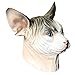 Halloween Costume Cosplay Sphynx Face Masks Hairless Cat Adult Face Mask