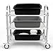 Lesbin 13 L Plastic Commercial Tote Box, Bus Tubs/Bus Box, 4-Pack