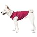 Gooby Fleece Vest Dog Sweater - Fuchsia, Large - Warm Pullover Fleece Dog Jacket with O-Ring Leash for Small to Medium Dogs