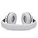 Reetec Lightweight Stereo Bass On-ear Headphones Over-ear Headsets Earphones with Microphone 3.5mm for Cellphones iphone Laptop Tablet Mp4 Mp3 (White)