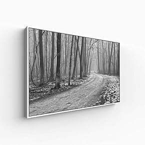 Canvas Wall Art for Living Room, Bedroom Monochrome Plants Framed Canvas Prints for Home Decoration Ready to Hang - 16x24 inches
