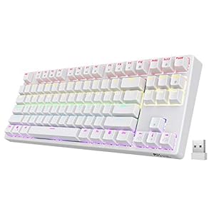 RK ROYAL KLUDGE Sink87G RGB 80% Mechanical Keyboard, Wireless 2.4G Tenkeyless Mechanical Keyboard with Macro Setting, 87…