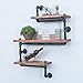 OLDRAINBOW Industrial Pipe Shelving Wall Mounted,Wall Shelf Bookshelf Hanging Wall Shelves,Metal Floating Shelves,Real Wood Book Shelves(3 Tier)