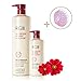 DCKR Natural Clinic Shampoo RGIII - Best Organic Red Ginseng Ingredients for Anti-Hair Loss & Regeneration - Patented Hair Care Shampoo RG III