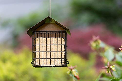 MEKKAPRO Double Suet Wild Bird Feeder with Hanging Metal Roof, Two Suet Capacity, Bird Feed Recommended (Renewed)