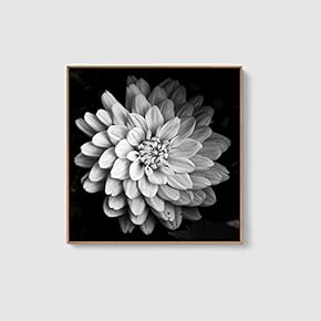 Framed Canvas Home Artwork Decoration Beautiful Flower Canvas Wall Art for Living Room, Bedroom - 16x16 inches