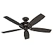 Hunter Fan Company, 53347, 52 inch Rainsford Premier Bronze Indoor/Outdoor Ceiling Fan and Pull Chain