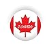 Canada Day Bulk Party Decoration Pack for 16 with 20 Canadian Flag Plates, 20 Napkins, 16 Red Cutlery Sets, 1 Flag Garland, and 1 Exclusive O Canada Pin by Another Dream