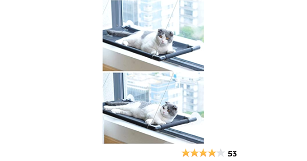 amazon cat window seat