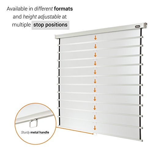 manual-Professional-screen