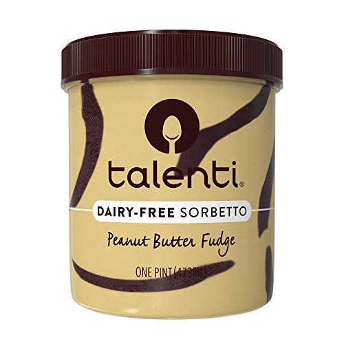 Talenti Sorbetto Peanut Butter Fudge 16 oz
