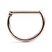 Ruifan 1PC 316L Stainless Steel D Shaped Hinged Seamless Segment Hoop Septum Clicker Ring Lip Helix Tragus Cartilage Earrings Nose Rings Pirecing 16g 10mm - Rose Gold