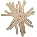 12 Inch Paint Sticks, Box of 100 Hardwood Paint Stirrers, Wood Mixing Paddles for Epoxy or Resin, Garden or Library Markers by Woodpeckers