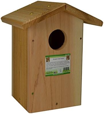 Looker Products Screech Owl, Kestrel and Flicker House