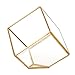 HOMEIDEAS Modern Gloden Geometric Terrarium Metal Faceted Tabletop Succulent Plants Holder Glass Air Plant Holder(Golden), Gift Mother's Day