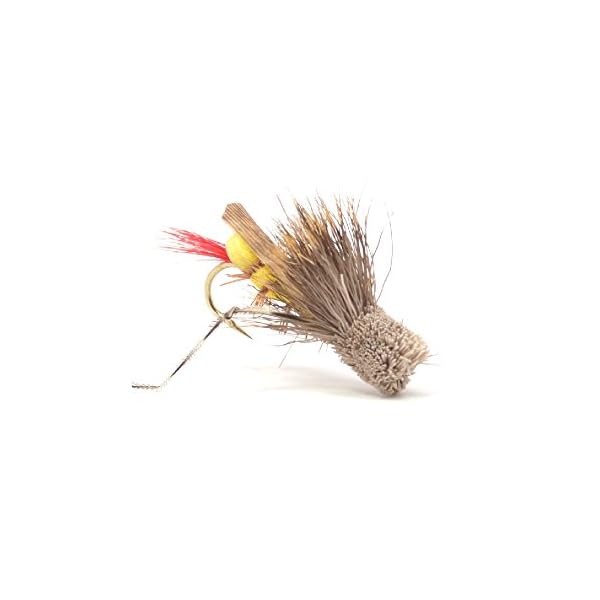 Trout-Fly-Assortment-Four-Best-Grasshopper-Trout-Dry-Flies-Collection-1-Dozen-Flies-4-Hopper-Fly-Patterns