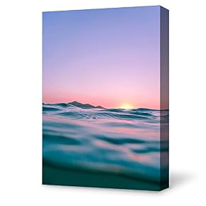 SIGNFORD Canvas Wall Art for Living Room,Bedroom Home...