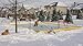 NiceRink 20x40 Backyard Ice Rink