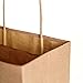 Brown Kraft Paper Bag Premium Set, 15 Count - Medium, 8