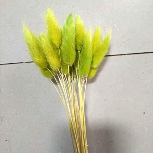 WEISY 30PCS Natural Rabbit Tail Grass Dried Household Flower Decorations Festive Party Supplies