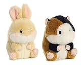 Bundle of 2 Aurora 5