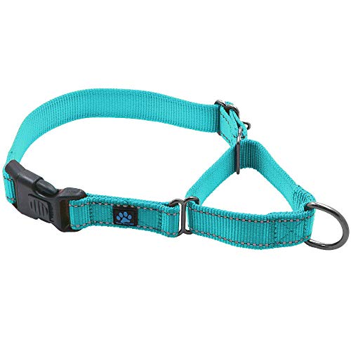 Max and Neo Nylon Martingale Collar – We Donate a Collar to a Dog Rescue for Every Collar Sold (Medium/Large, Teal)