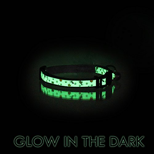 Pawtitas Pet Glow In The Dark Cat Collar with Safety Buckle and Bell Grey Hook