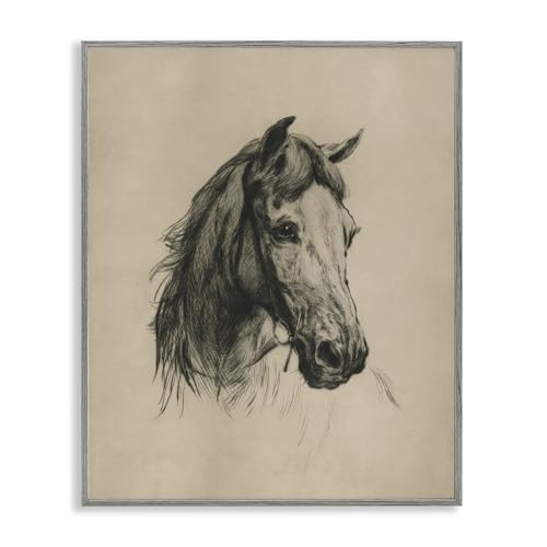 Stupell Industries Charcoal Horse Portrait Gray Framed Giclee Art Design by Arl…