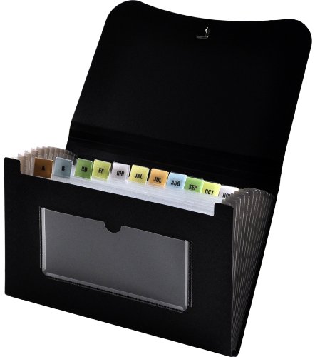 Lion 13-Pocket Small Ex panding File, 5-3/4 x 8-1/2 Inches, Black, 1 File (9430…