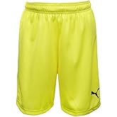 Puma Unisex-Youth Youth Teamgoal 23 Knit Shorts