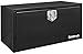 Buyers Products Black Steel Underbody Truck Box w/ T-Handle Latch (24x24x36 Inch)