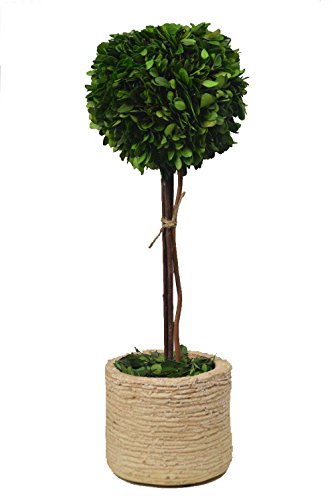 Galt international topiary plant with decorative pot, 1…