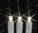 Novelty Lights 50 Light LED Twinkle Christmas LED Mini Light Set, Outdoor Fairy Wedding String Lights, Warm White, Green Wire, 25 Feet