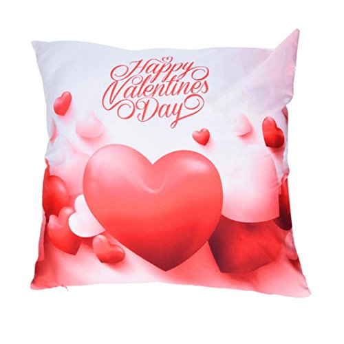 AutumnFall 45cmX45cm/18"x18" Square Valentine's Day Print Pillow Cases Sofa Bed Car Cushion Cover,Style 2 (B)