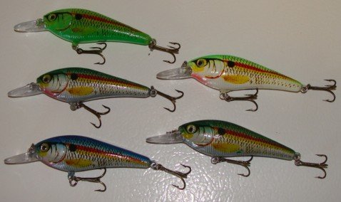5-L5BS-Custom-Shad-Lures-Plugs-Crankbaits-Bass-Fishing-Set 5-L5BS-Custom-Shad-Lures-Plugs-Crankbaits-Bass-Fishing-Set